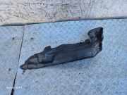 Schutzleiste Kotflügel BMW X6 (F16, F86) 9245596