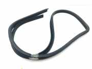 Türgummi links vorne Maserati Quattroporte V ()