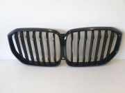 Vorderer oberer Gitter BMW X5 (G05) xDrive 40 i 2467262