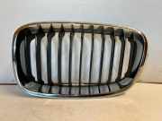 Vorderer oberer Gitter BMW 1 (F21) 116 i 7239021