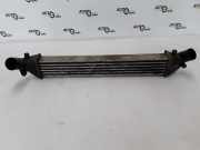 Ladeluftkühler Renault Clio II (B) 8200245599