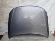 Motorhaube VW PASSAT B6 (3C2) 2.0 TDI 16V