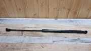 Gasfeder für Motorhaube Opel Astra H () 244652950512