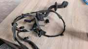 Kabel der vorderen linken Tür RENAULT LAGUNA Coupe (DT0/1) 2.0 dCi 241250181R