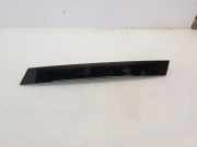 Türpolsterverkleidung hinten links MERCEDES-BENZ R (W251, V251) R 500 4-matic (251.072, 251.172) 2516700587