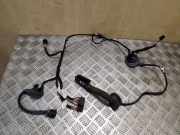 Kabel Tür Audi Q5 (8R) 8R0971687H
