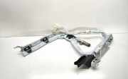 SRS Modul Dach links BMW X1 (E84) sDrive 18 d 1094213020414 2990783