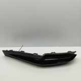 Stoßstangenierleiste hinten links