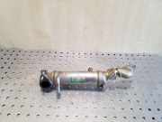 Abgaskühler Honda CR-V II (RD) 18720RMAE01