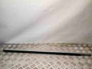 Zier-/Schutzleiste für Türscheibe Ford S-Max I (WA6)