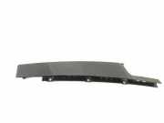 Fensterleiste Tür vorne links