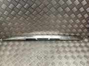 Kennzeichenbeleuchtung Verkleidung PEUGEOT 407 SW (6E_) 2.2 9580M3740