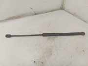 Gasfeder für Motorhaube Audi Q7 (4L) 4L0823359