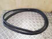 Türdichtungsgummi vorne links TOYOTA RAV 4 III (_A3_) 2.2 D 4WD (ALA30_)