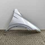 Kotflügel vorne rechts VW TIGUAN (AD1) 1.4 eHybrid