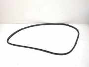 Türgummi links vorne BMW X3 (F25) 7396554