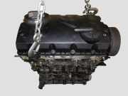 Motor VW GOLF PLUS (5M1, 521) 1.9 TDI BKC