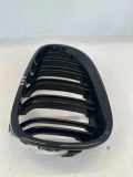 Gitter Grill vorne links BMW 5 Touring (E61) 530 d