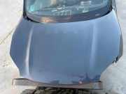 Motorhaube KIA SPORTAGE V (NQ5) 1.6 T-GDI
