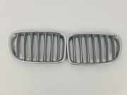 Vorderer oberer Gitter BMW X1 (E84) sDrive 18 d 2993308