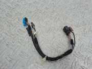 Kabelbaum Mercedes-Benz CLS (C219) A2198200315