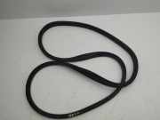 Türdichtung Renault Megane I (BA)