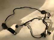 Türverkabelung hinten links VW PASSAT B9 Variant (CJ5) 1.5 TSI eHybrid 3j0971693g