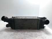 Ladeluftkühler Citroen Berlingo II Multispace (B9) 964568280