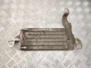 Kraftstoffkühler Ford Transit V363 Kasten (FCD, FDD) BK219N103AE