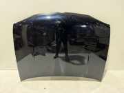 Motorhaube VW Golf IV (1J)