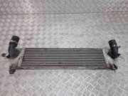 Ladeluftkühler Nissan Qashqai (J10)