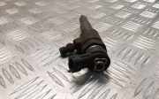 Düsenstöcke Peugeot 206 Schrägheck (2A/C) 9641496180