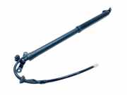 Heckklappe Gasdruckfeder rechts TOYOTA RAV 4 V (XA50) FWD LE 2.5 6891042060