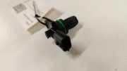 Nockenwellensensor RENAULT MEGANE II Coupé-Cabriolet (EM0/1_) 1.5 dCi (EM1E) 0171371173