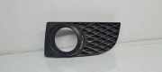 Gitter vorne unten MAZDA PREMACY (CP) 2.0 TD C14650C21