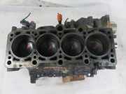 Motorblock AUDI A4 (8EC, B7) 2.0 TFSI quattro BPG