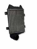 Ladeluftkühler VW MULTIVAN V (7HM, 7HN, 7HF, 7EF, 7EM, 7EN) 1.9 TDI 701145805A