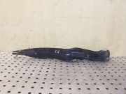 Schutzleiste Kotflügel Citroen DS4 (NX) 9688837180