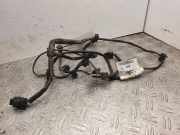 Kabelbaum NISSAN QASHQAI / QASHQAI +2 I (J10, JJ10) 2.0 dCi 24017EY10A