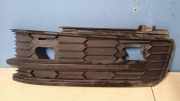Gitter vorne unten SKODA KODIAQ (NS7) 2.0 TDI 4x4 565807368