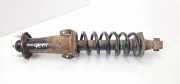 Stoßdämpfer hinten links LEXUS IS II (GSE2_, ALE2_, USE2_) 220d (ALE20) 4853053141