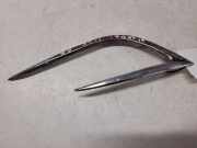 Stoßstangenzierleiste vorne links HYUNDAI i20 (PB, PBT) 1.4 CRDi