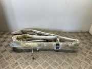 Dach SRS rechts BMW X5 (E70) xDrive 30 d 7141508