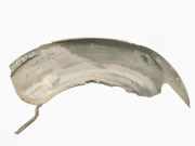 Innenkotflügel hinten links JAGUAR XJ (X351) 3.0 D AW93F279D23AC