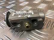 A/C Conditioner Expansion Valve BMW 7 (E65, E66, E67) 730 Ld 64116980211