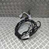 Anzeige Blauer Schlauch BMW X5 (G05) xDrive 30 d Mild-Hydrid 5A17887