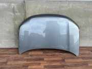 Motorabdeckung Suzuki Vitara (LY)