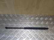 Heckklappe Gasdruckfeder links TOYOTA AURIS (_E15_) 2.2 D (ADE157_) 6896002080