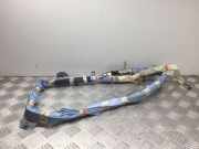 Airbag Dach links Lexus IS 2 (E2)