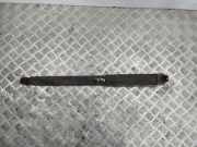 Stoßdämpfer hinten links FORD GRAND C-MAX (DXA/CB7, DXA/CEU) 2.0 TDCi AV6118080CAF